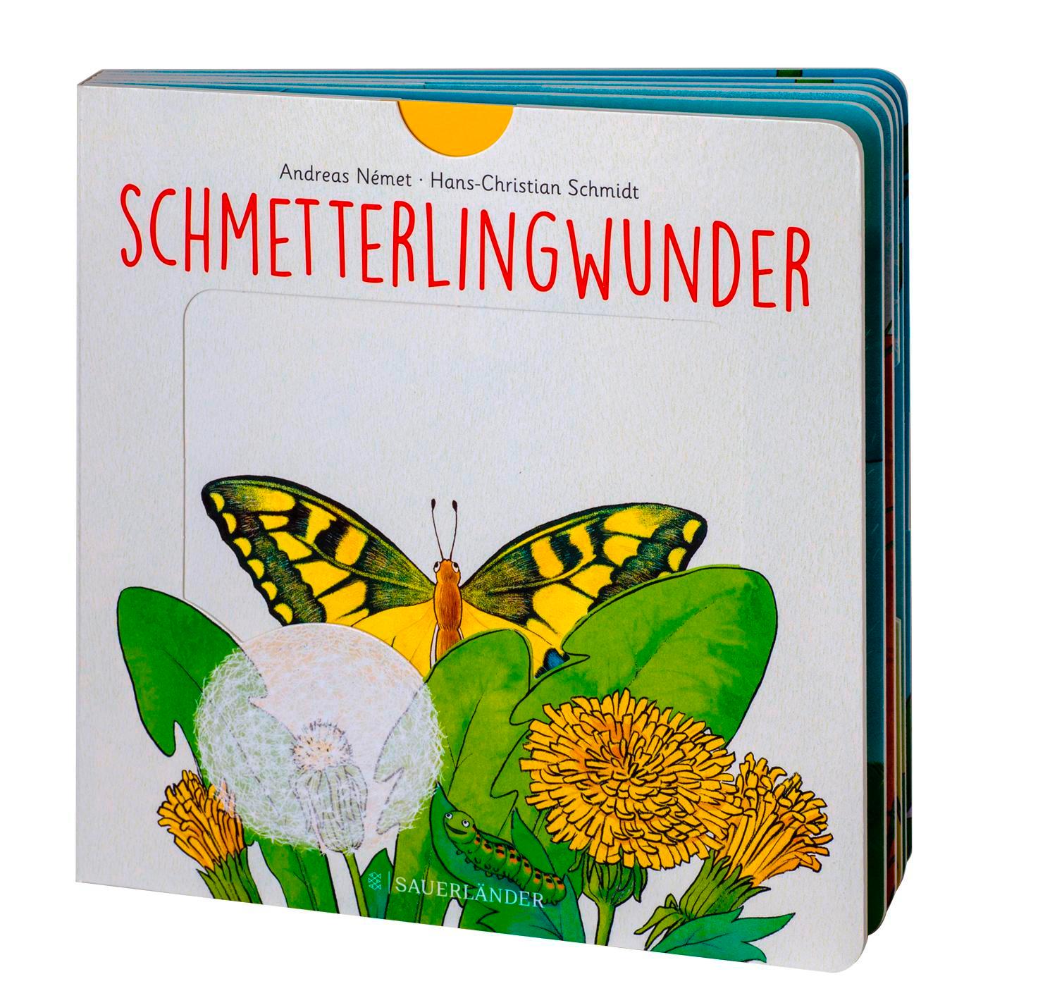 Beispielinhalt (Bild) Schmetterlingwunder