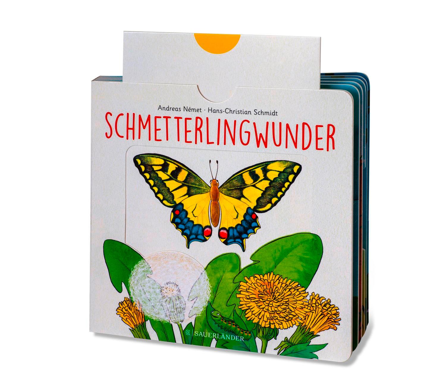 Beispielinhalt (Bild) Schmetterlingwunder