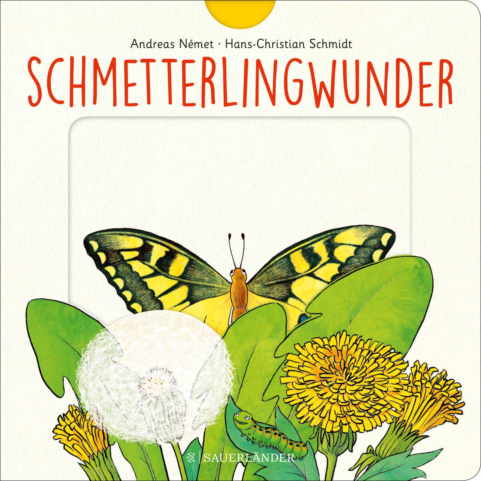 Vorderes Coverbild Schmetterlingwunder
