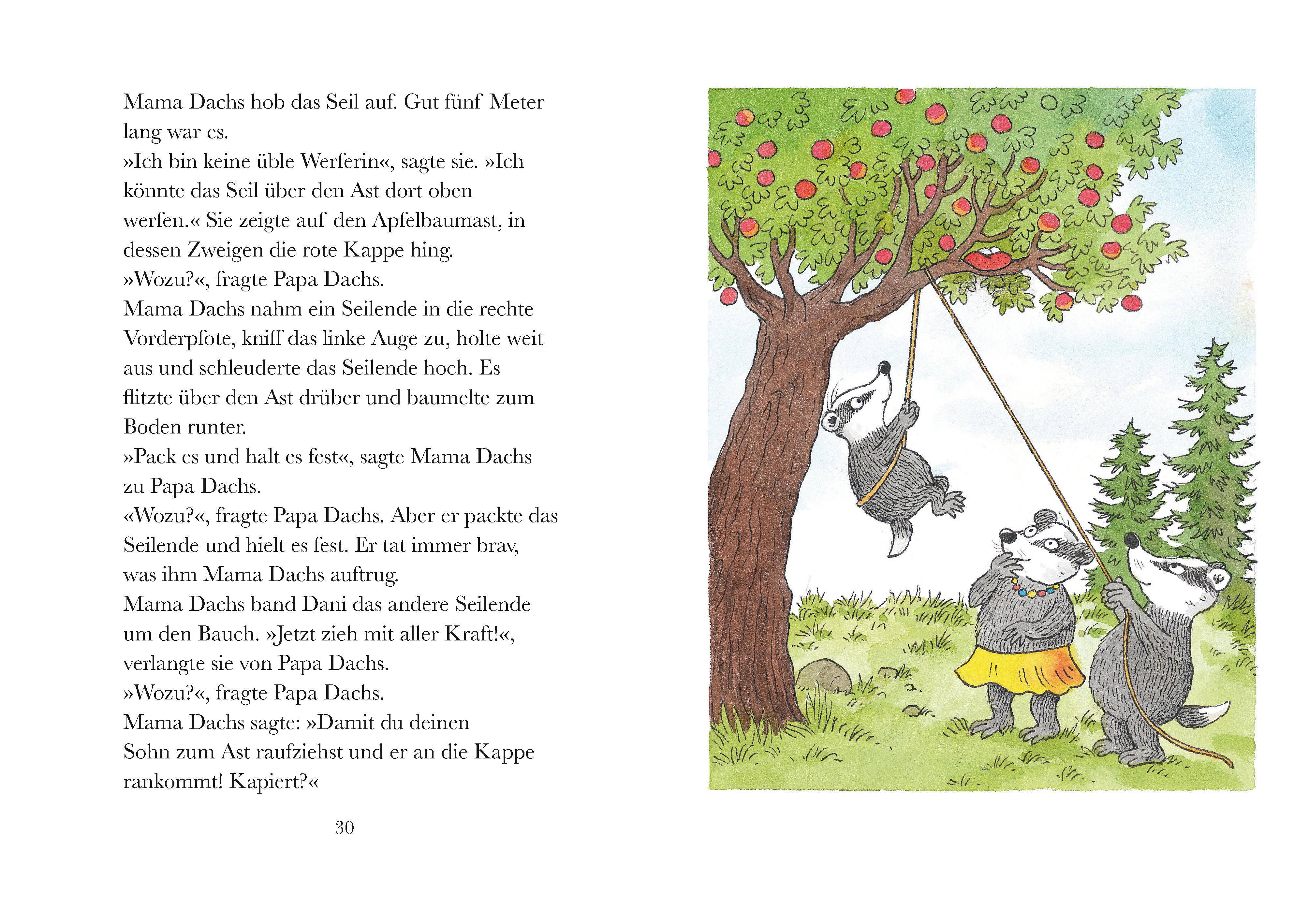 Beispielinhalt (Bild) Frech wie Dani Dachs