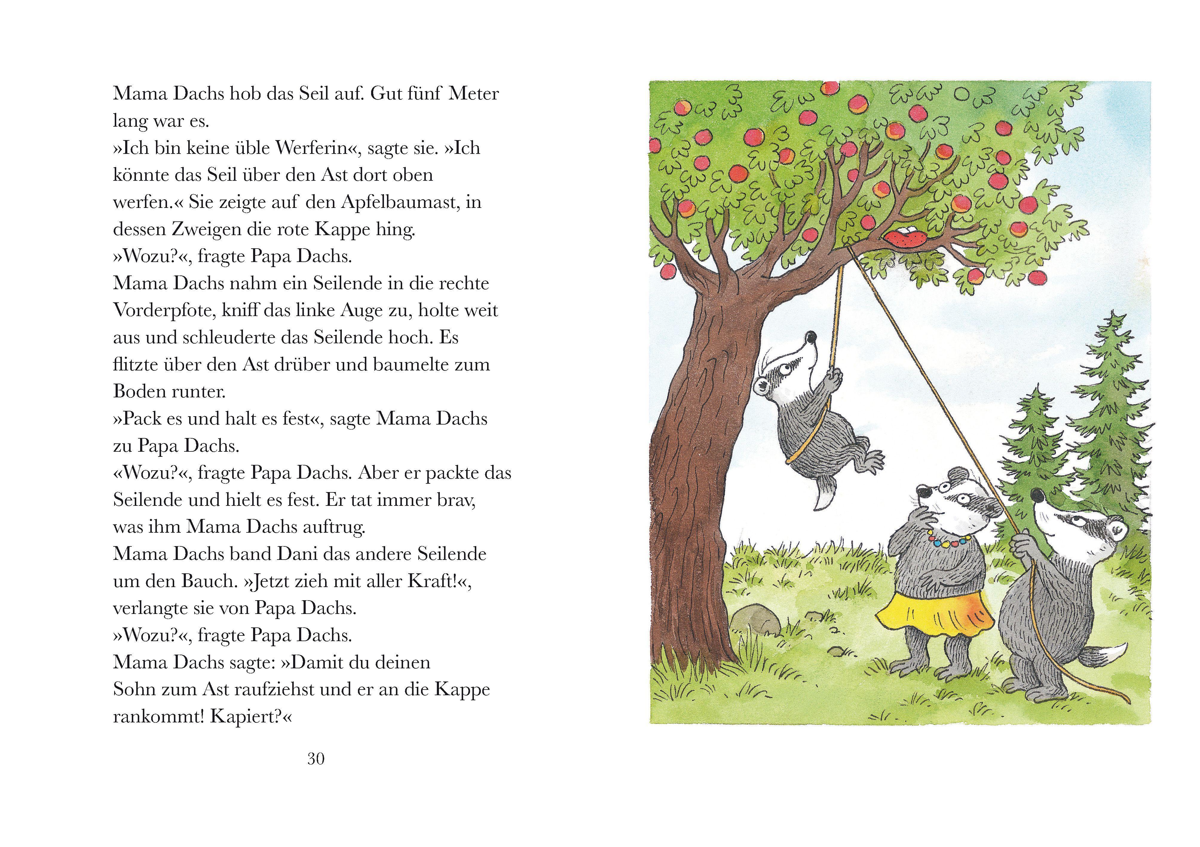 Beispielinhalt (Bild) Frech wie Dani Dachs