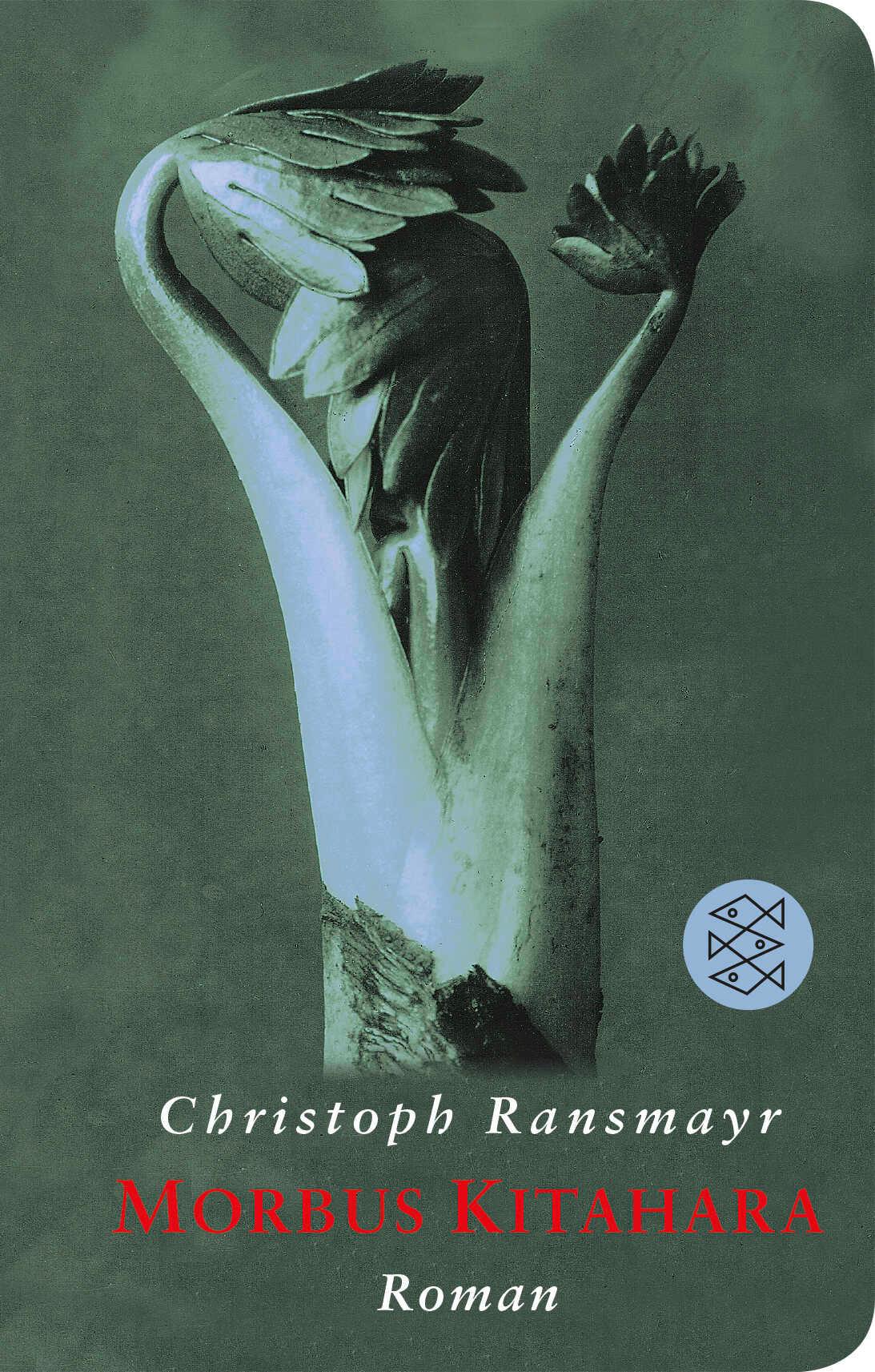Vorderes Coverbild Morbus Kitahara