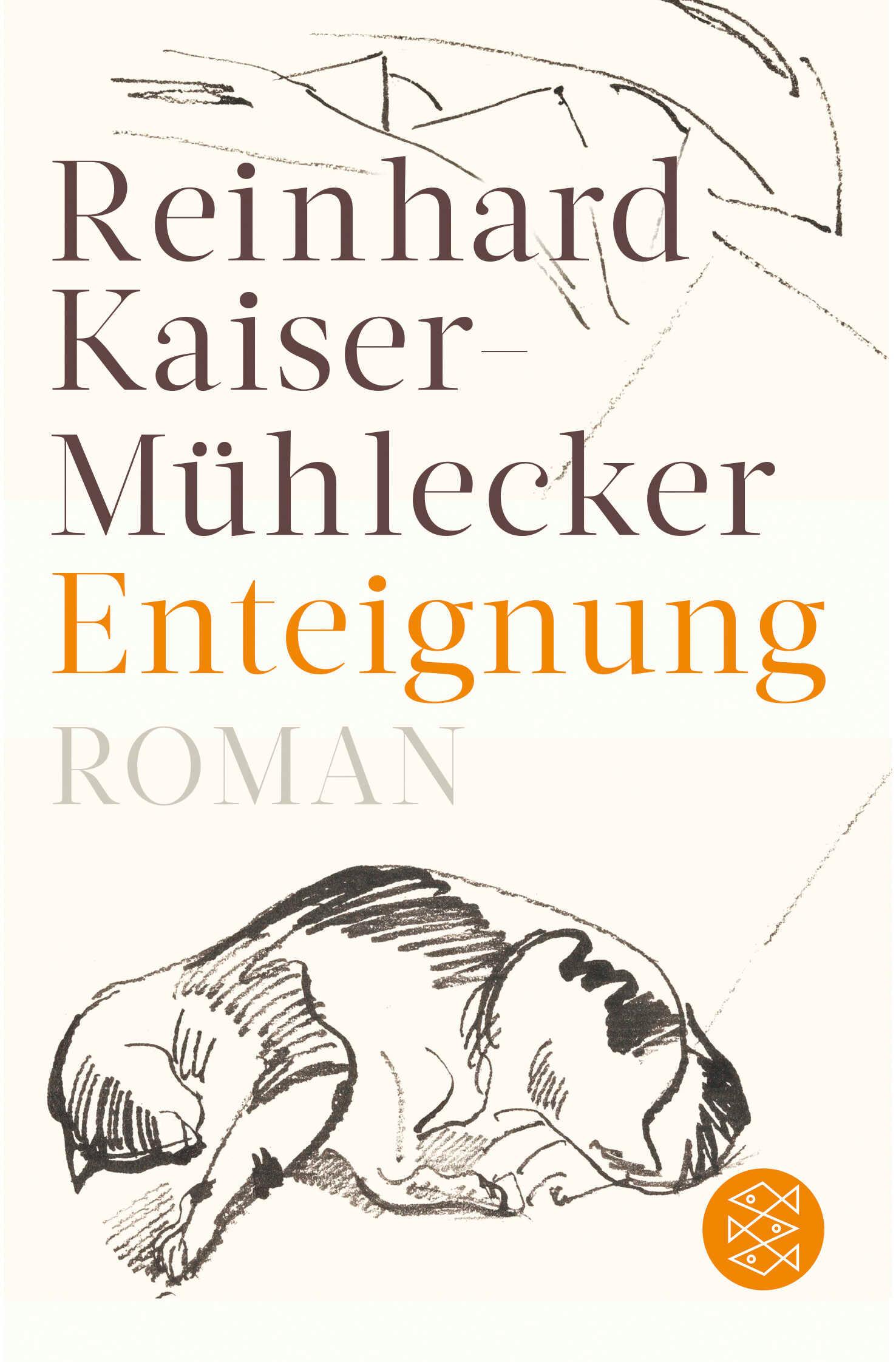 Vorderes Coverbild Enteignung