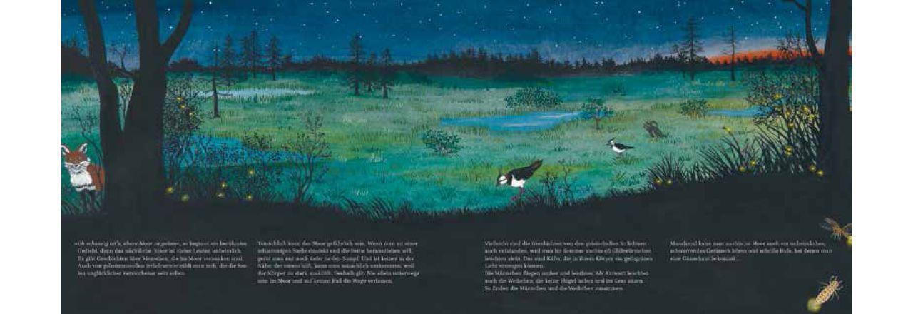 Beispielinhalt (Bild) Im Moor - Kiebitz, Frosch und Sonnentau