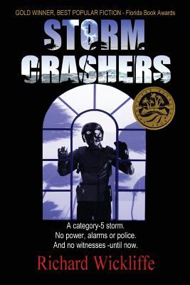 Vorderes Coverbild Storm Crashers