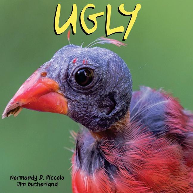 Vorderes Coverbild Ugly