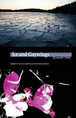 Vorderes Coverbild Ice and Gaywings