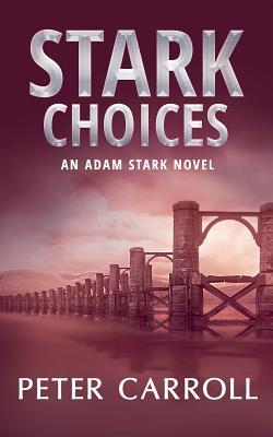 Vorderes Coverbild Stark Choices: An Adam Stark Novel