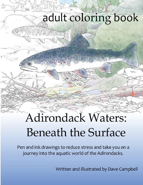Vorderes Coverbild Adirondack Waters: Beneath the Surface