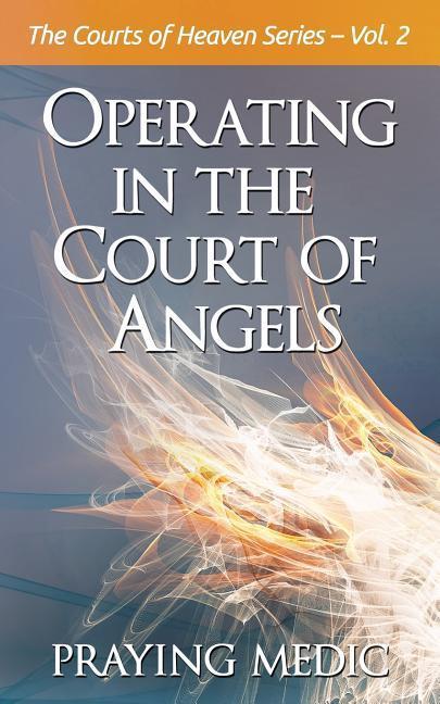 Vorderes Coverbild Operating in the Court of Angels
