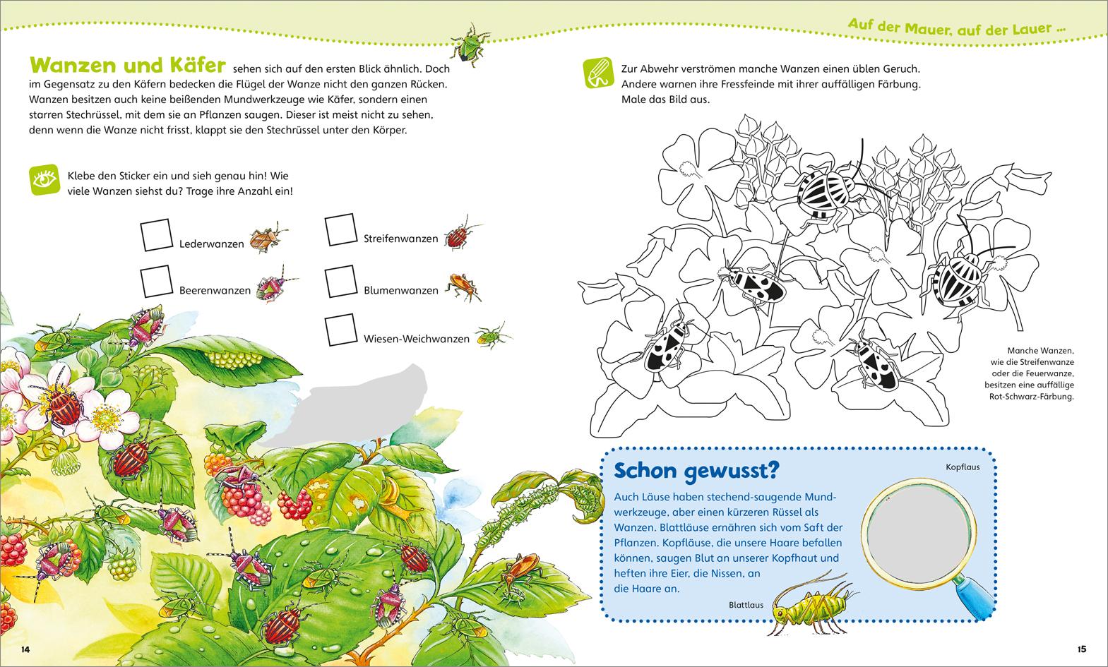 Beispielinhalt (Bild) WAS IST WAS Junior Mitmach-Heft. Insekten