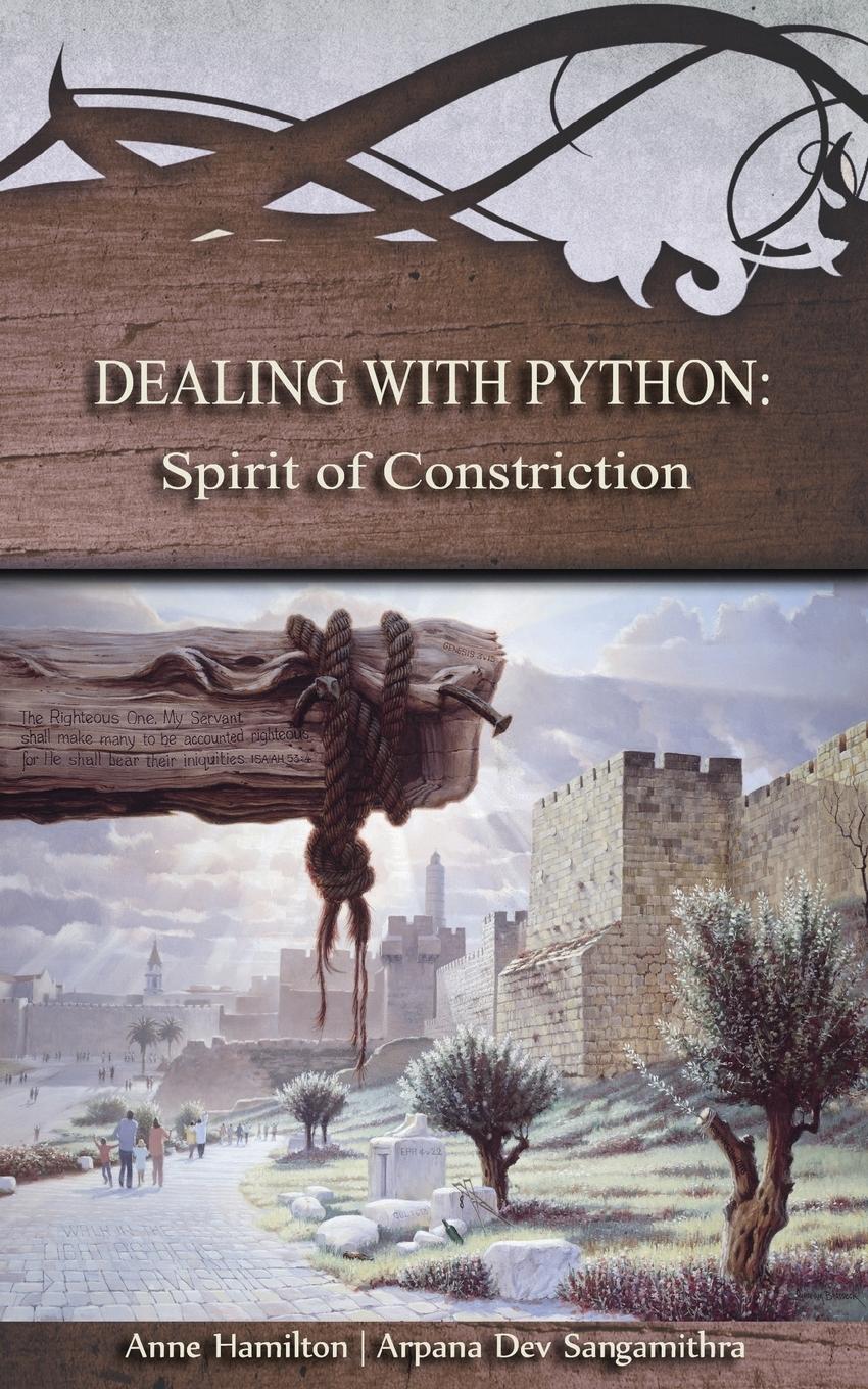 Vorderes Coverbild Dealing with Python