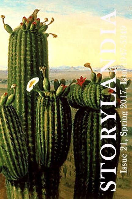 Vorderes Coverbild Storylandia 21