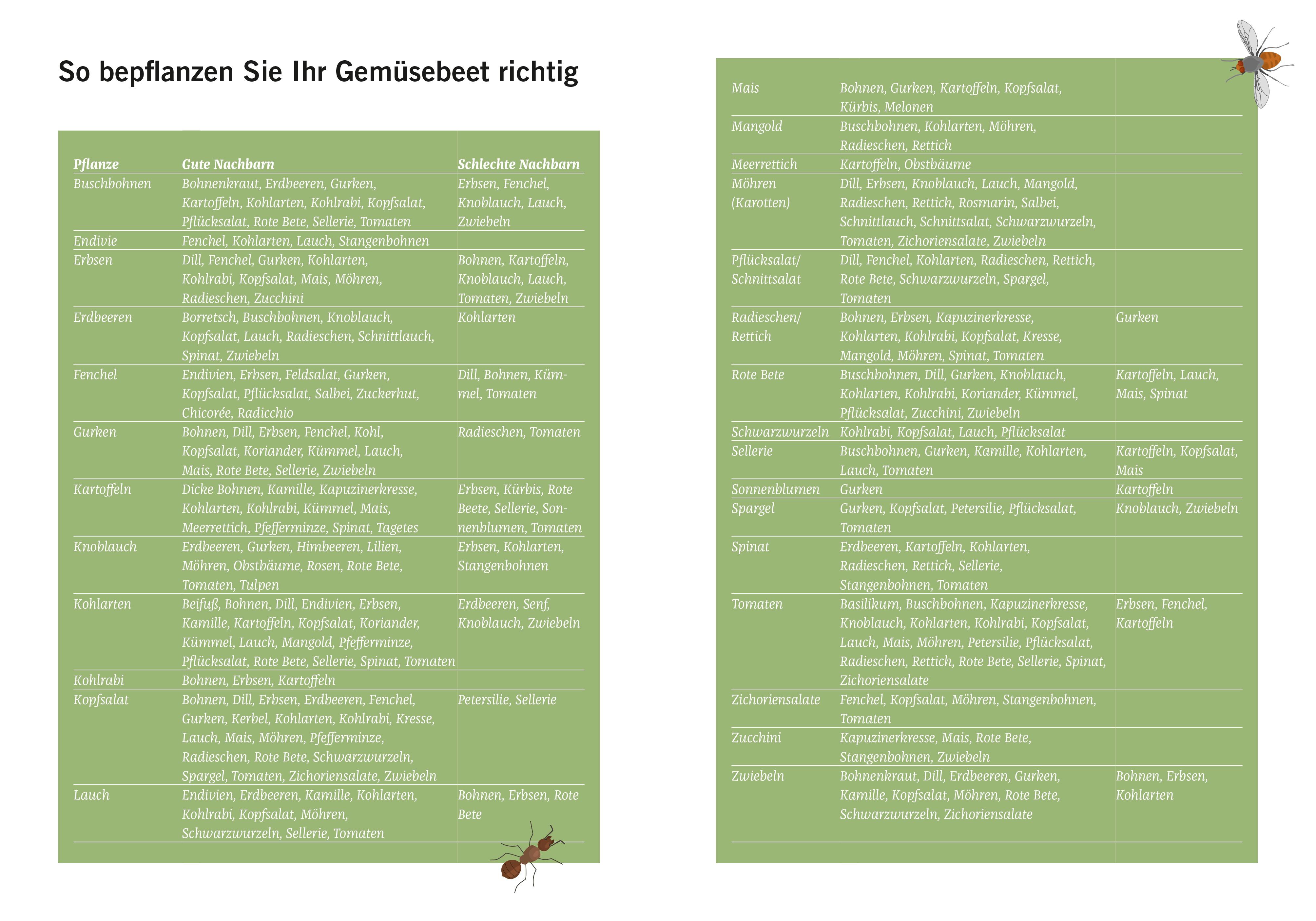 Beispielinhalt (Bild) Die Garten-Docs
