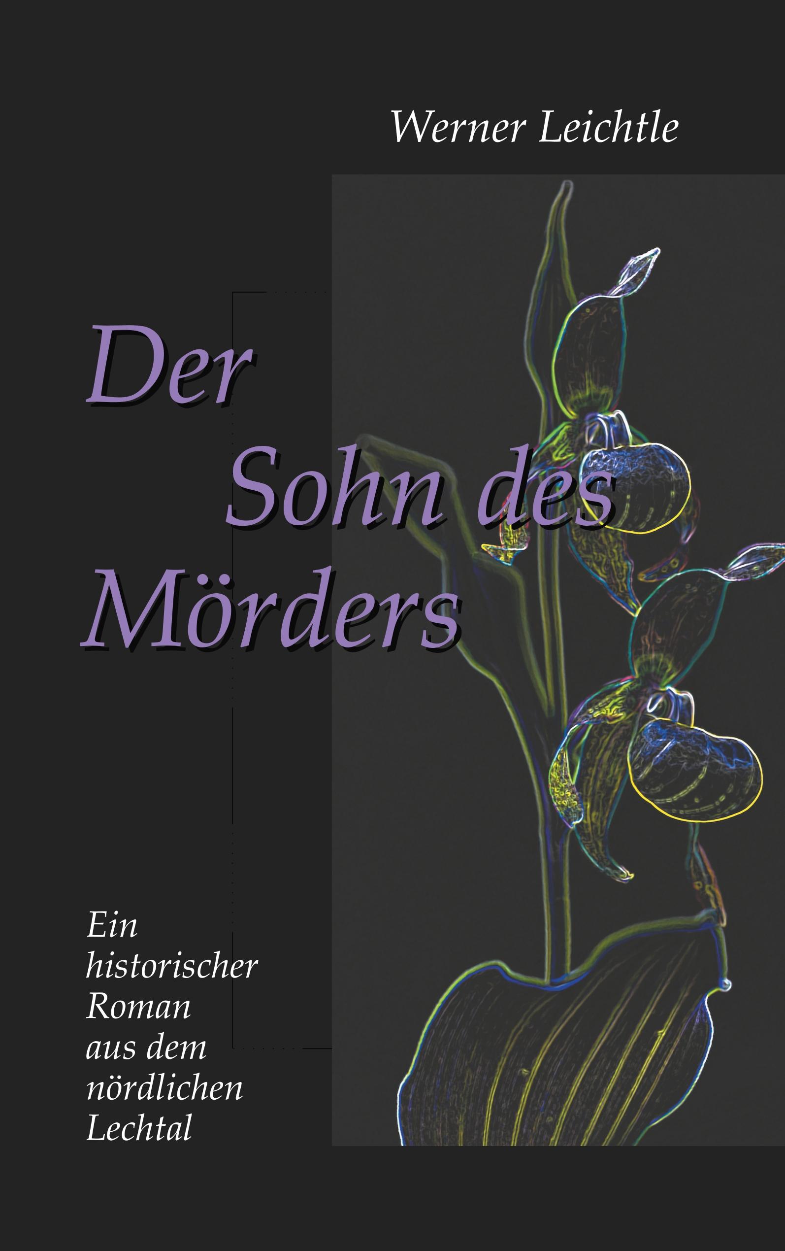 Vorderes Coverbild Der Sohn des Mörders