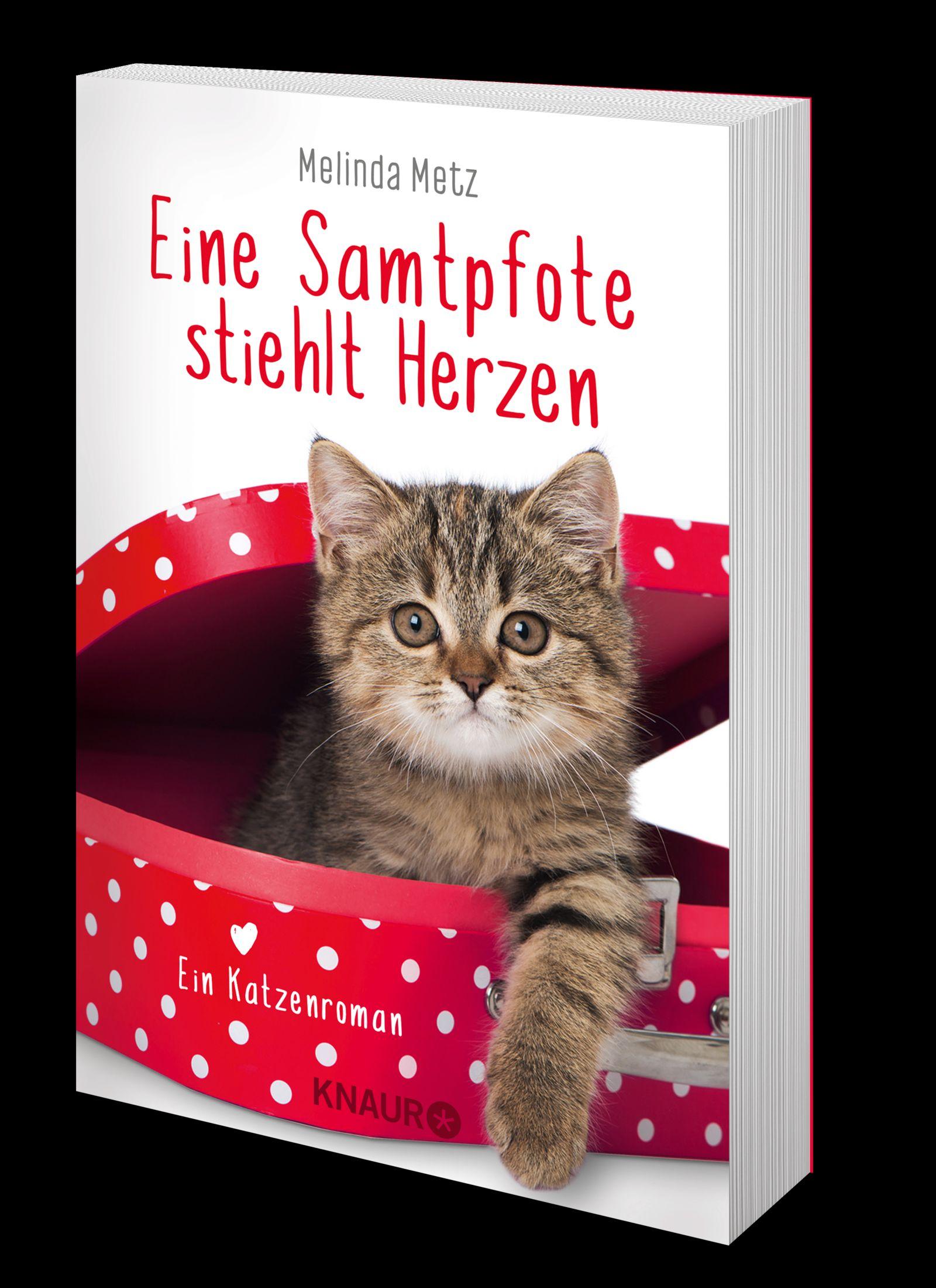 Beispielinhalt (Bild) Eine Samtpfote stiehlt Herzen