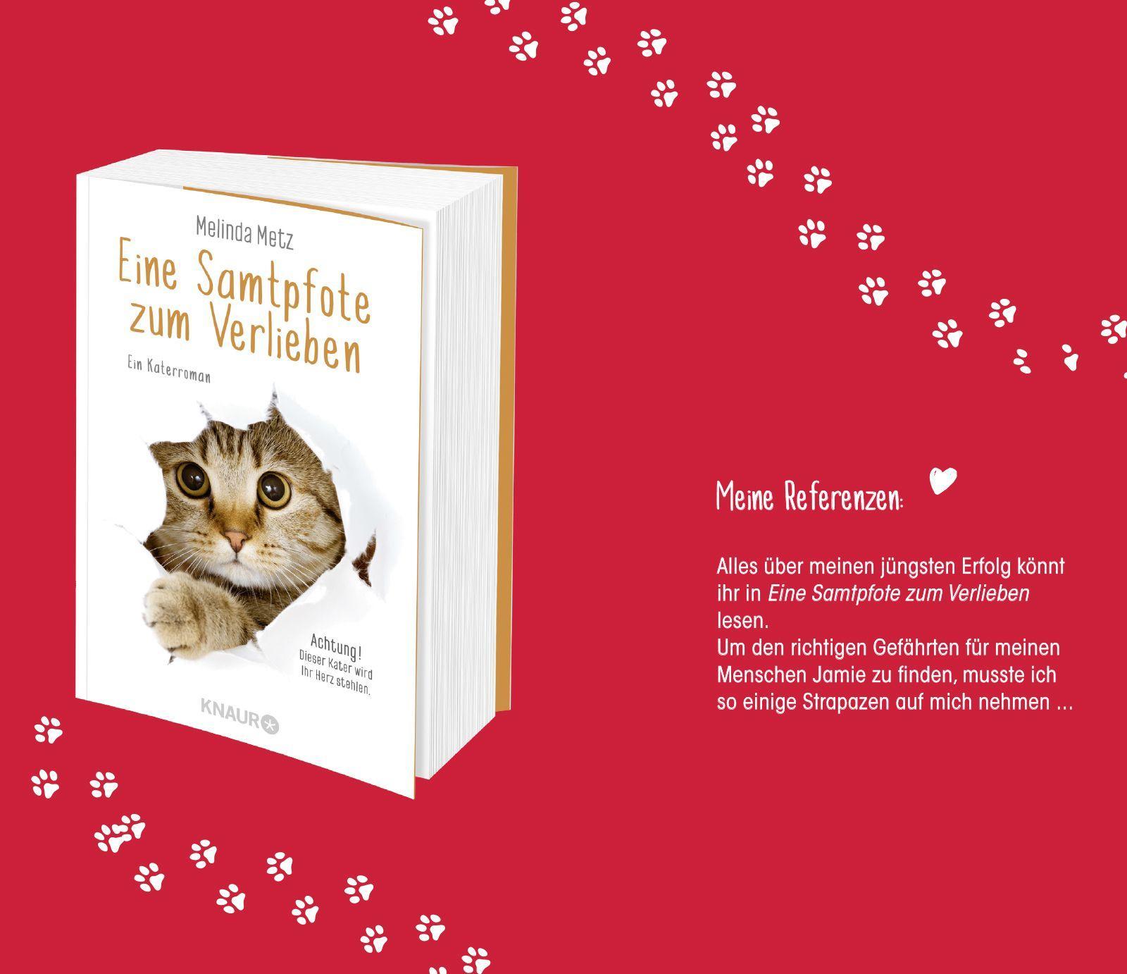 Beispielinhalt (Bild) Eine Samtpfote stiehlt Herzen