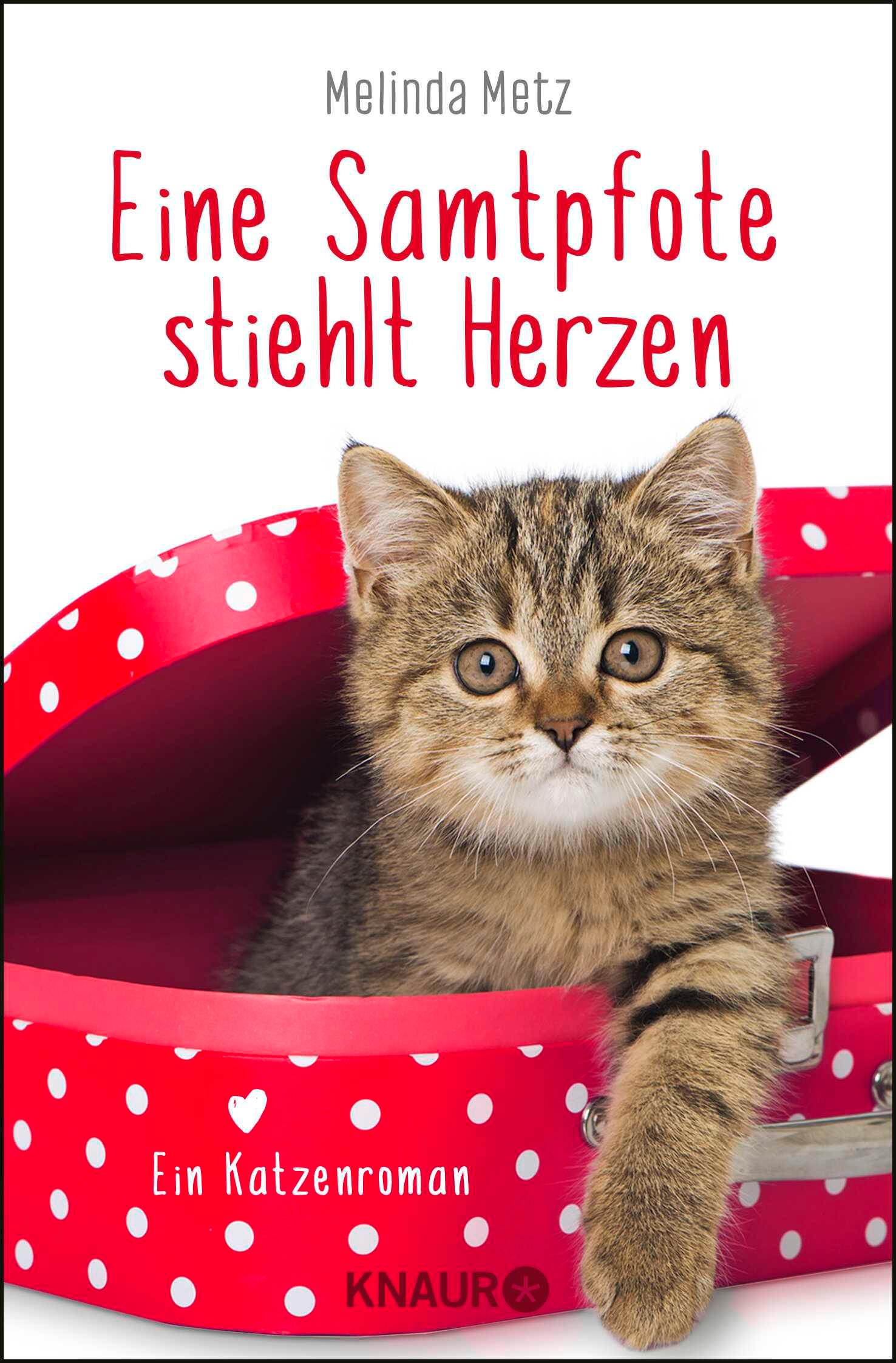 Vorderes Coverbild Eine Samtpfote stiehlt Herzen