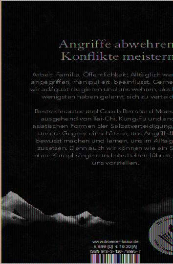 Rückseitencover Siegen wie ein Shaolin