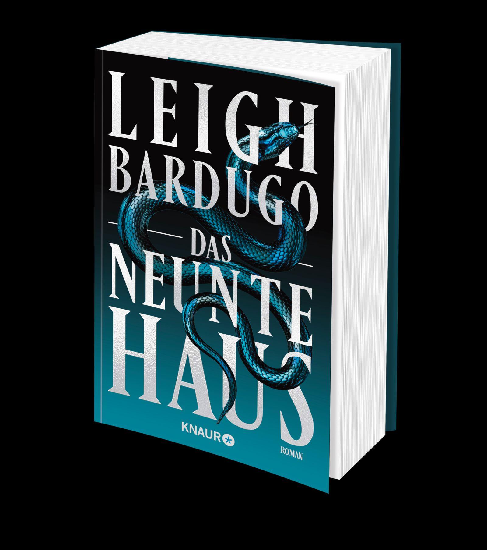 Beispielinhalt (Bild) Das neunte Haus