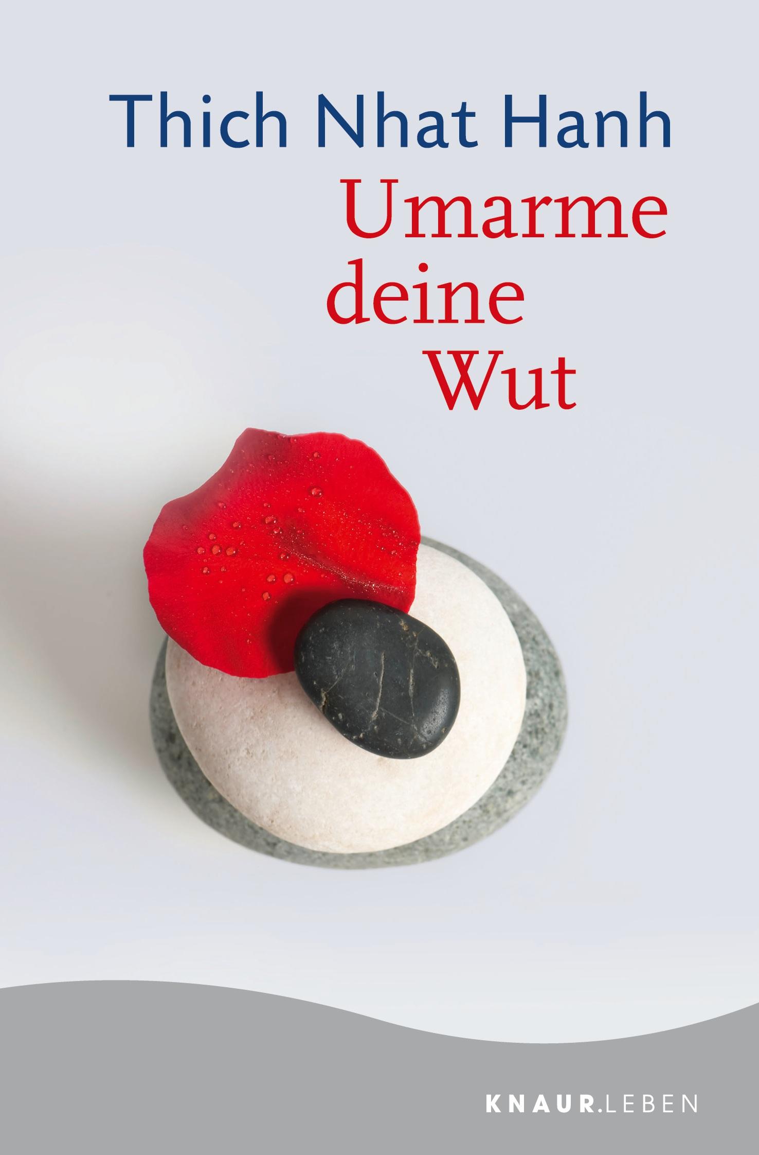 Vorderes Coverbild Umarme deine Wut