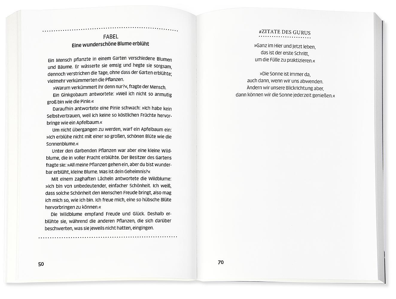 Beispielinhalt (Bild) Fühl dich reich und werde reich