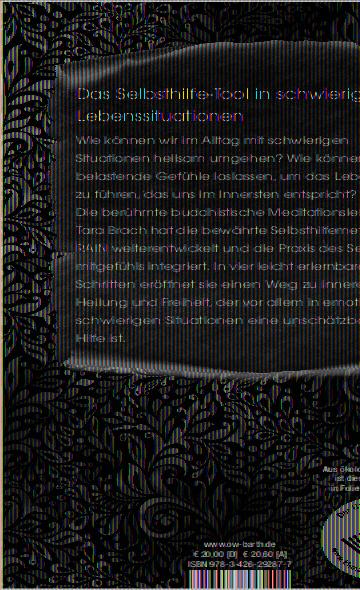 Rückseitencover Dein furchtloses Herz