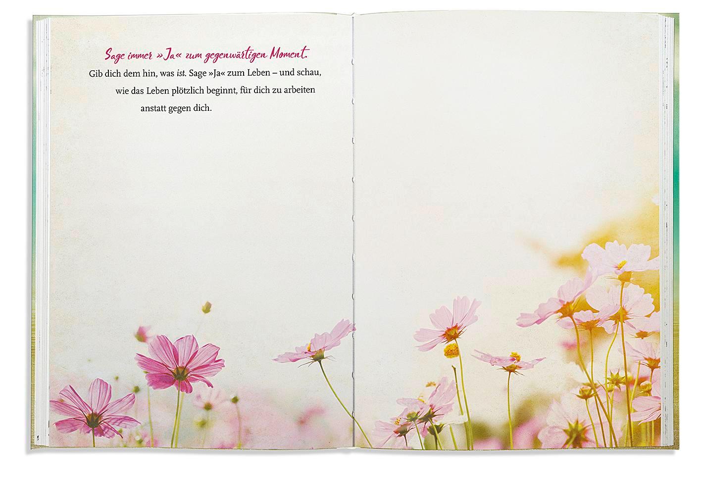 Beispielinhalt (Bild) Jetzt!