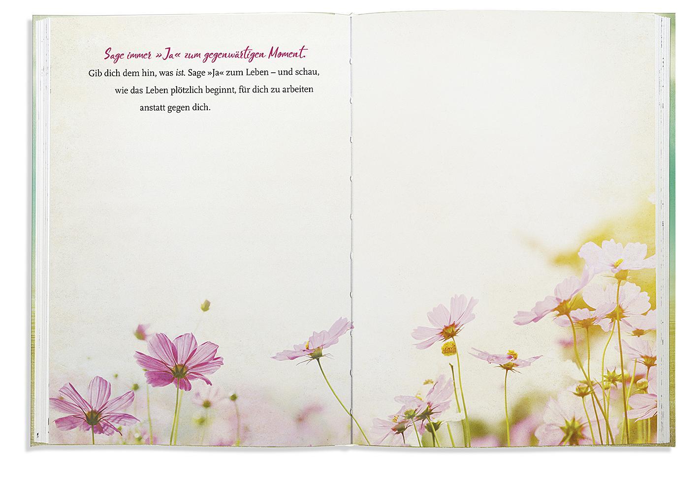 Beispielinhalt (Bild) Jetzt!