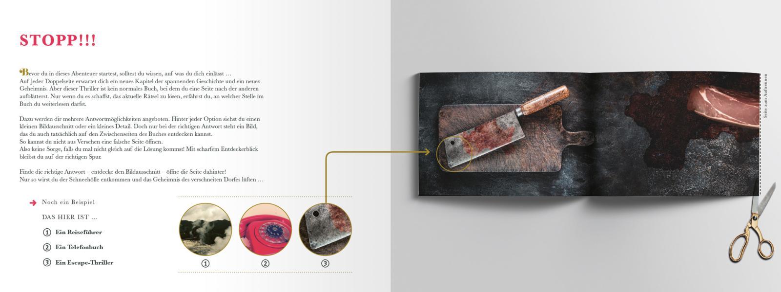 Beispielinhalt (Bild) Escape Room. Gefangen im Schnee