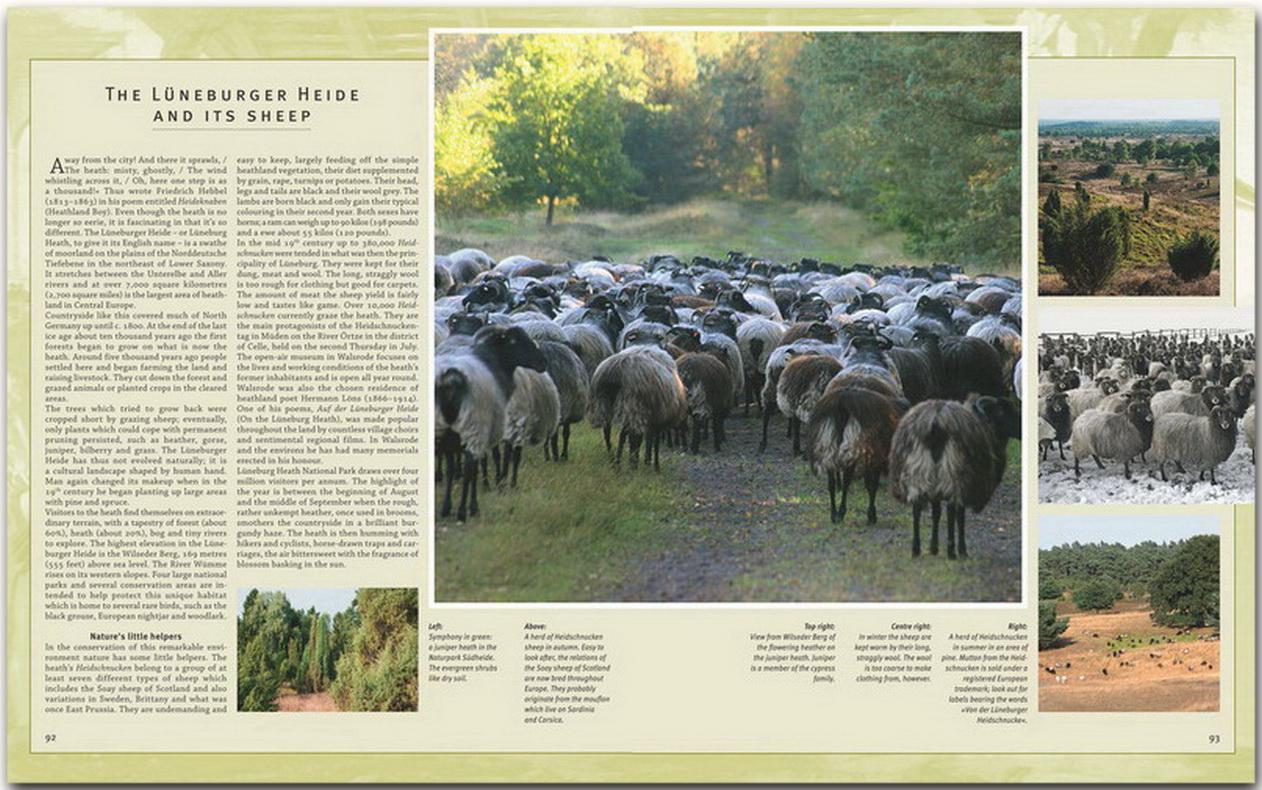 Beispielinhalt (Bild) Journey through Lower Saxony