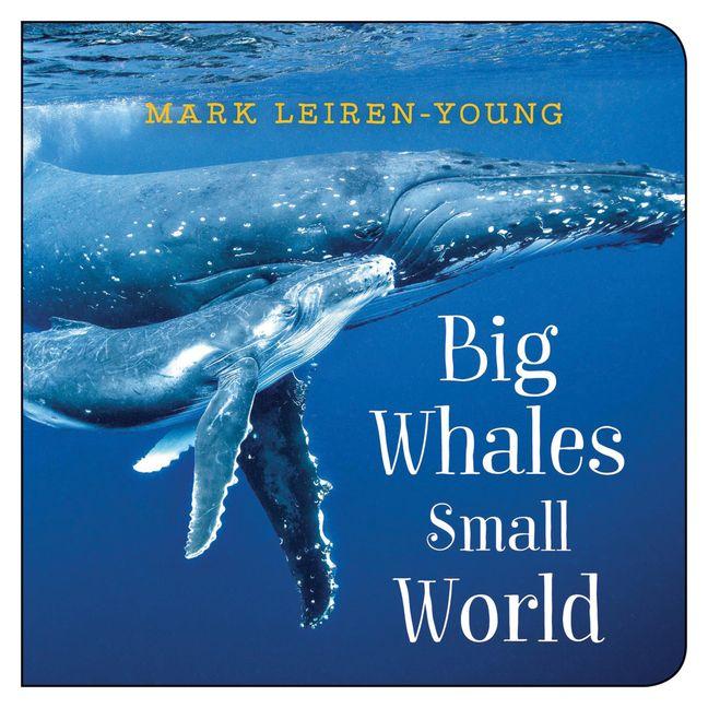 Vorderes Coverbild Big Whales, Small World