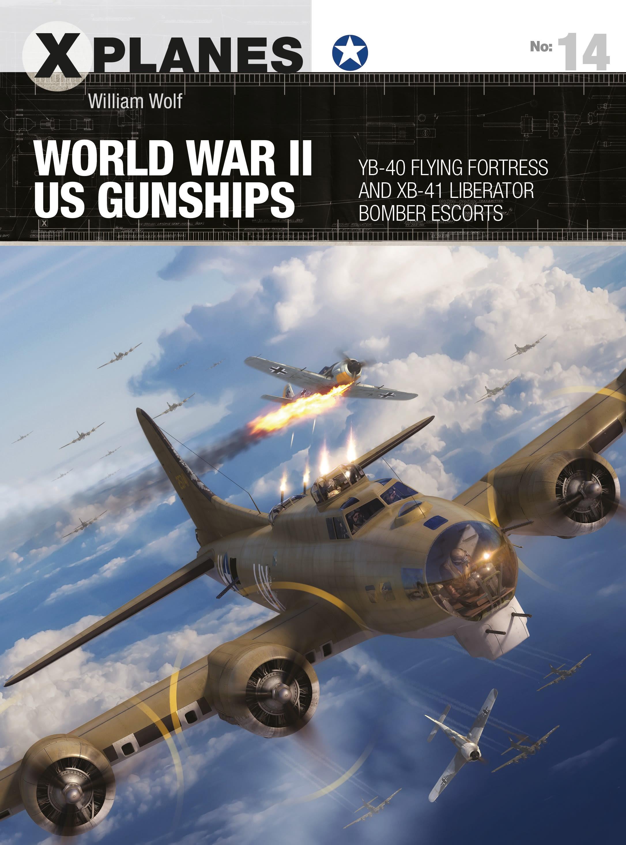 Vorderes Coverbild World War II US Gunships