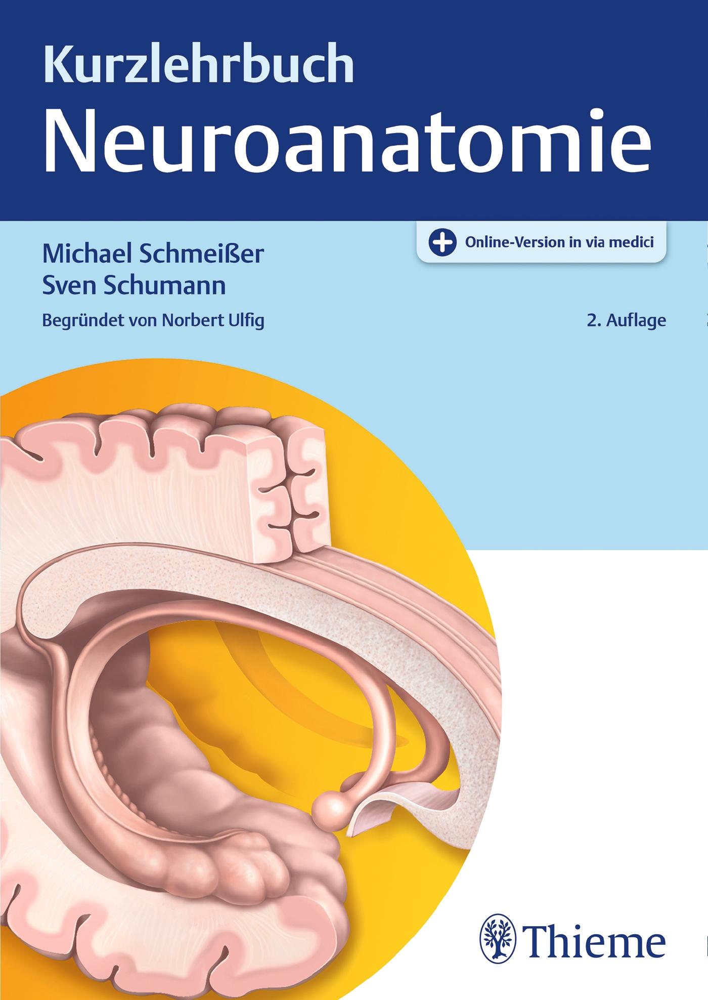 Vorderes Coverbild Kurzlehrbuch Neuroanatomie
