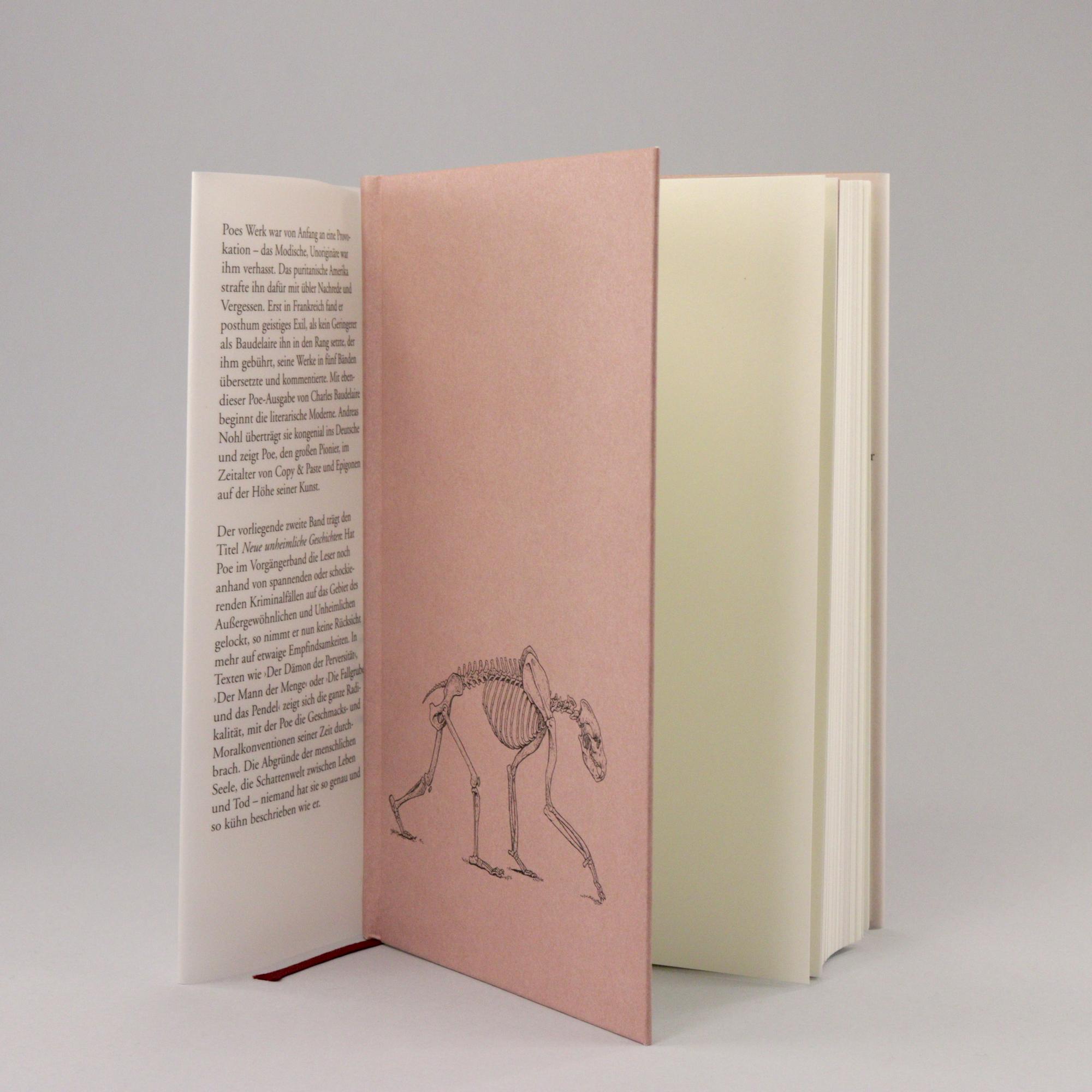 Beispielinhalt (Bild) Neue unheimliche Geschichten