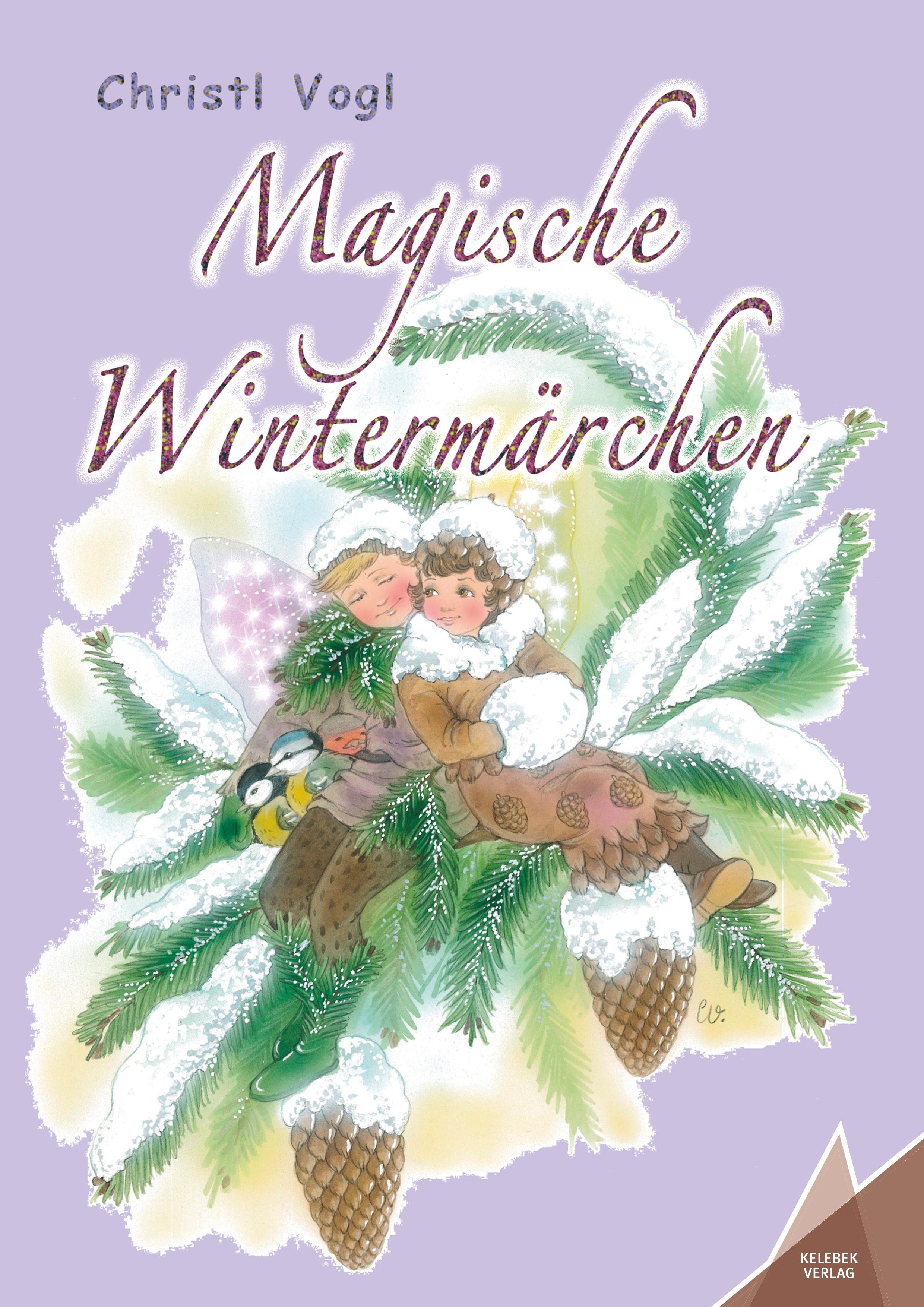 Vorderes Coverbild Magische Wintermärchen