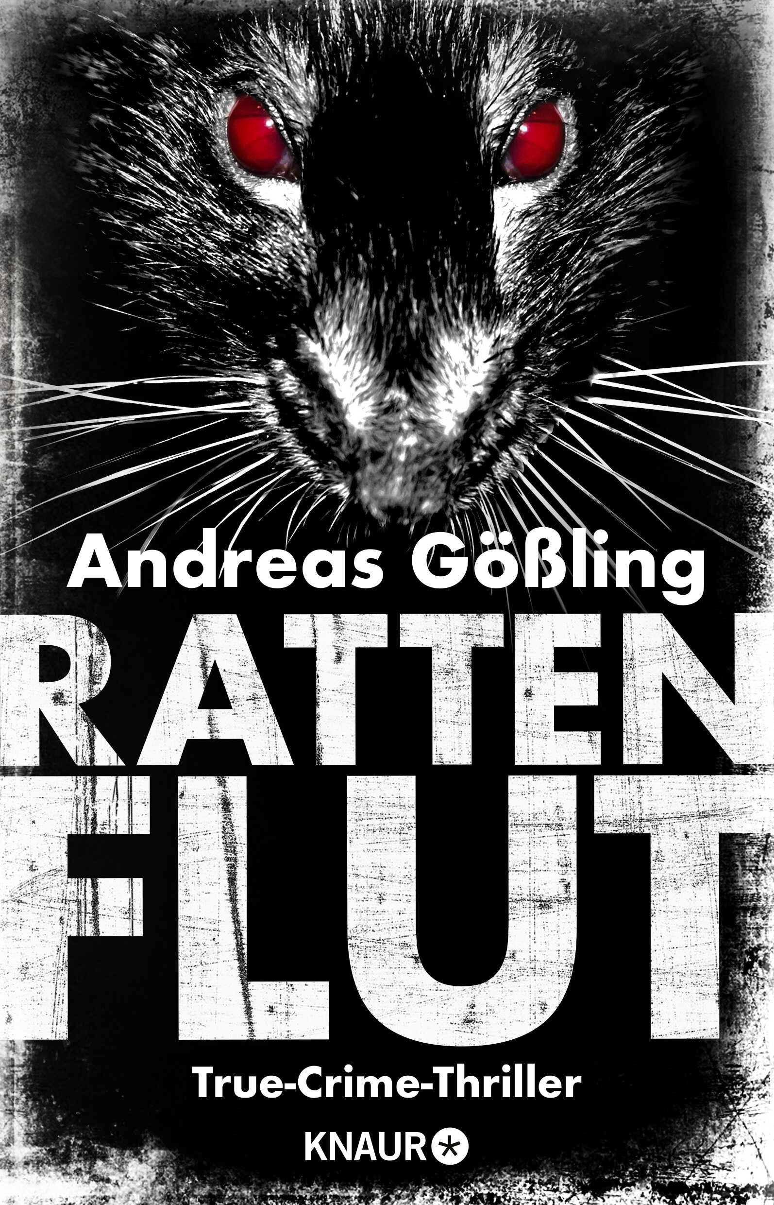 Vorderes Coverbild Rattenflut