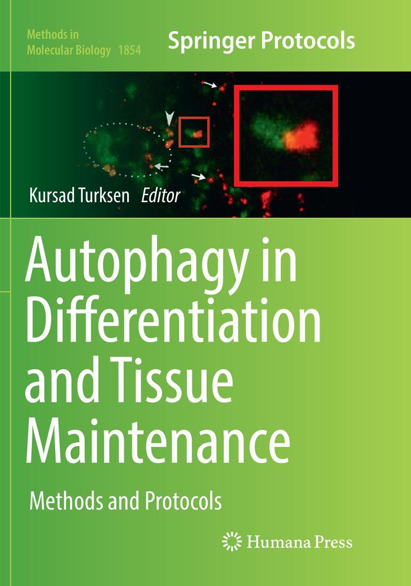 Vorderes Coverbild Autophagy in Differentiation and Tissue Maintenance