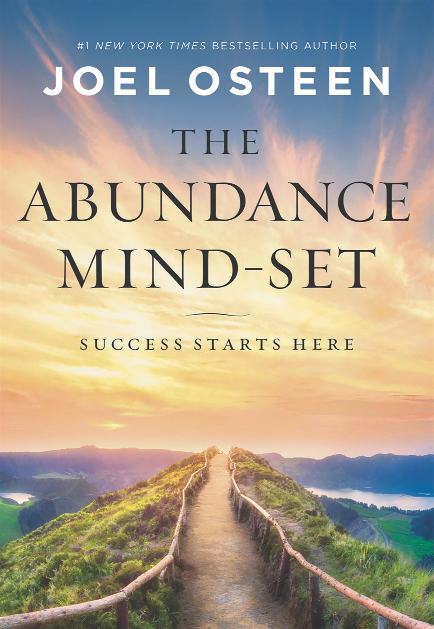 Vorderes Coverbild The Abundance Mind-Set
