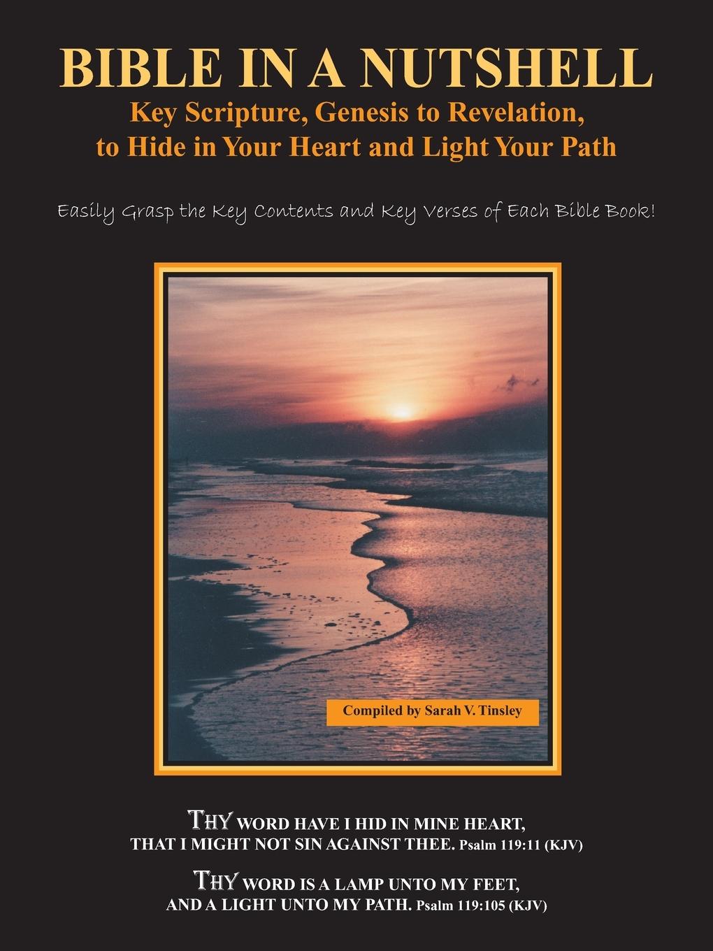 Vorderes Coverbild Bible in a Nutshell