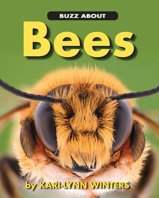 Vorderes Coverbild Buzz about Bees