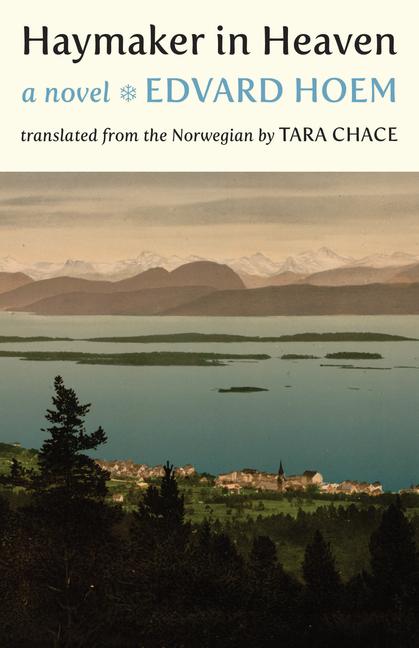 Vorderes Coverbild Haymaker in Heaven