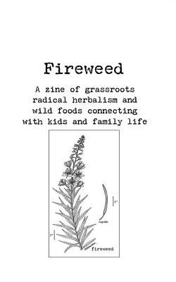 Vorderes Coverbild Fireweed #1