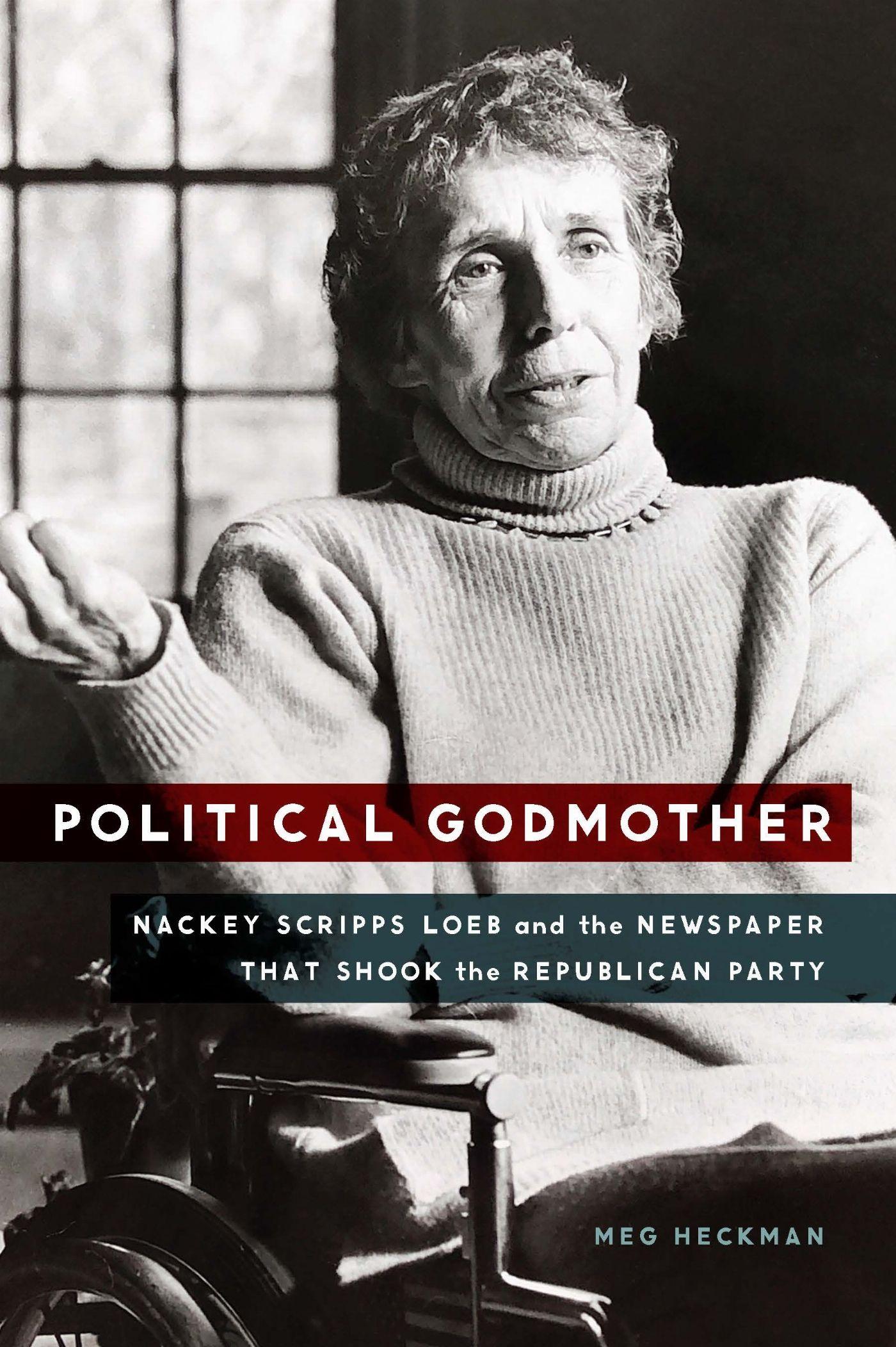 Vorderes Coverbild Political Godmother