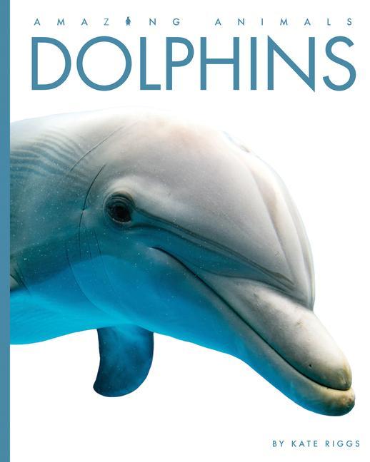 Vorderes Coverbild Dolphins