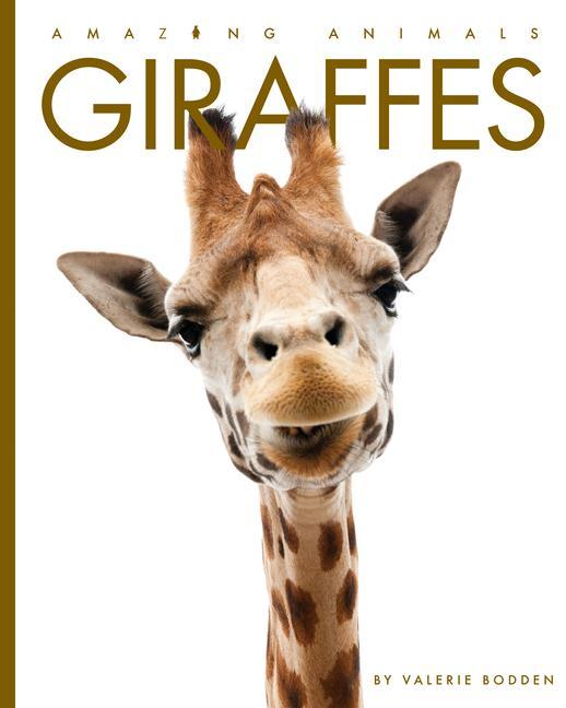 Vorderes Coverbild Giraffes