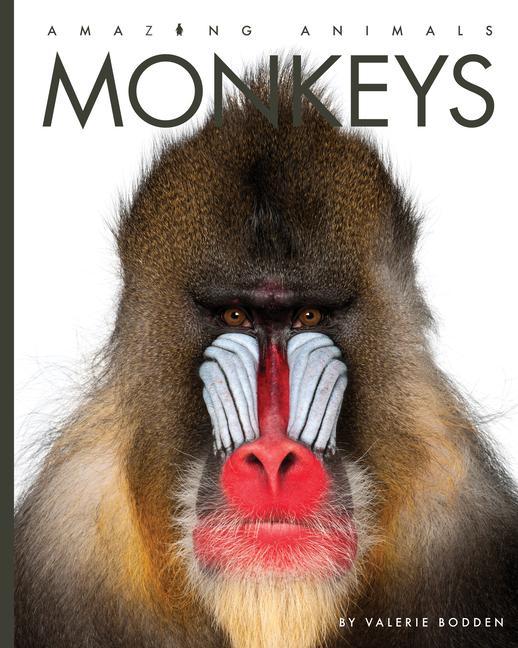 Vorderes Coverbild Monkeys