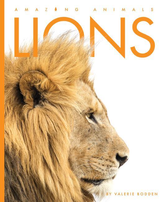Vorderes Coverbild Lions