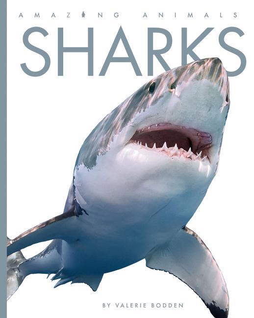 Vorderes Coverbild Sharks