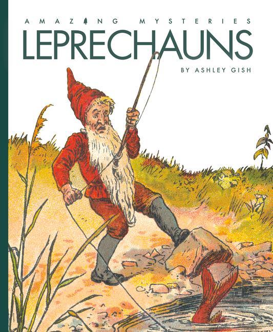 Vorderes Coverbild Leprechauns